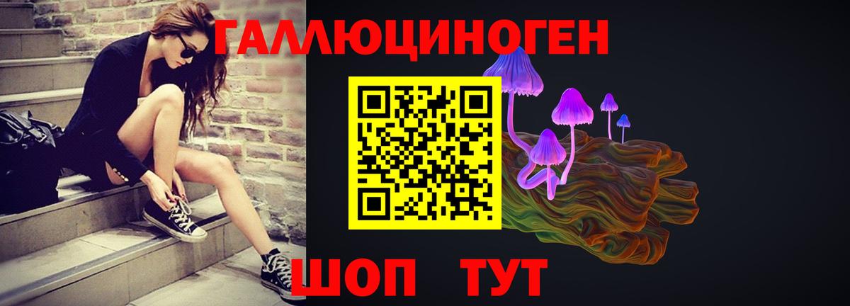 Псилоцибиновые грибы GOLDEN TEACHER Алапаевск